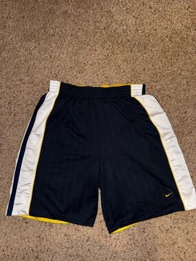 VINTAGE Nike reversable Basketball shorts Men’s size XXL